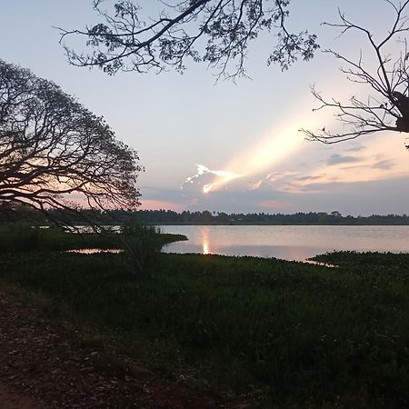 Tissa Rainbow Guest & Yala Hotel Tissamaharama Buitenkant foto